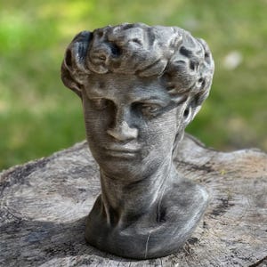 May include: A gray bust of David, a classical sculpture, is displayed. The sculpture has detailed facial features and curly hair. The bust is placed on a weathered wooden surface, with a blurred green background.