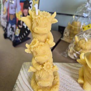 Vela de vaca de las Tierras Altas de 3 niveles