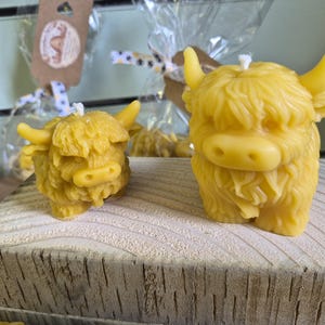 Juego de velas de vaca de las Tierras Altas