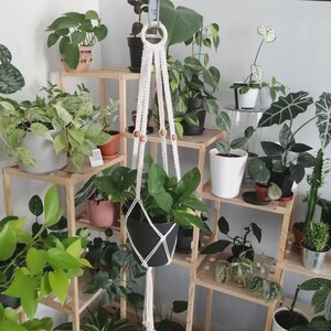 Peut inclure: Un macramé blanc suspend un pot noir contenant une plante verte, accroché à une barre métallique. Des perles en bois ornent le macramé. Diverses plantes en pot sont disposées sur des étagères en bois, créant un jardin intérieur luxuriant.