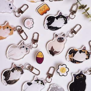 May include: A selection of cat-themed keyrings and charms. The keyrings depict various cat breeds in colourful illustrations. Other charms include a paw print, a smiling flower, and a smiling egg. Each keyring has a silver clasp.