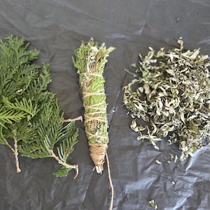 May include: A collection of botanical items consisting of a cluster of fresh green cedar sprigs, a cylindrical bundle of dried cedar wrapped in natural twine, and a pile of loose, dried, light green and brown herbal leaves and stems.