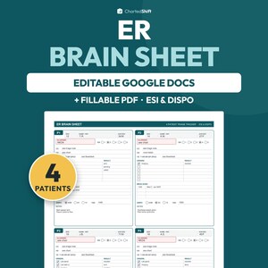 Editable ER Nurse Triage Tracker, 4 Patient Emergency Report Sheet (Google Docs, PDF)