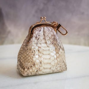 Könnte beinhalten: Eine kleine Münzgeldbörse aus Schlangenhaut mit Kussverschluss und goldfarbener Kette und Clip. Die strukturierte Oberfläche der Geldbörse zeigt ein Muster aus braunen, beigen und cremefarbenen Schuppen.