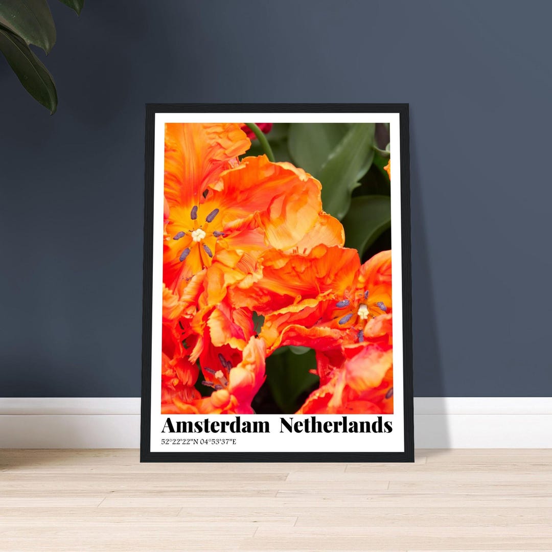 Framed Amsterdam Holland Tulips Poster - "flame Hot" Orange Wall Art ...