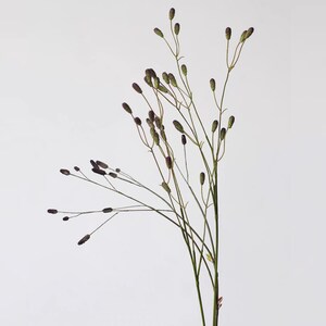 Tiges de pimprenelle artificielles, têtes de graines de Sanguisorba violettes prunes, pour vases et décorations de mariage.