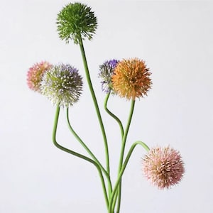 Peut inclure: Un ensemble de six tiges de fleurs allium artificielles avec des têtes sphériques en forme de globe dans diverses couleurs, notamment vert, violet clair, orange et rose tendre. Chaque tête florale présente de nombreux pétales fins et rayonnants.