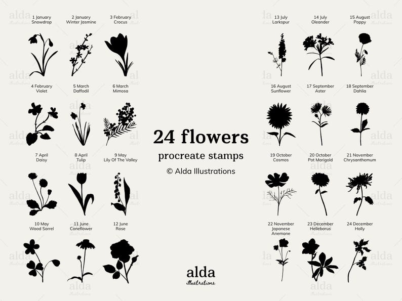 Birth Month Flowers Procreate Stamp Brushes | 24 Flowers · 121 Elements ...