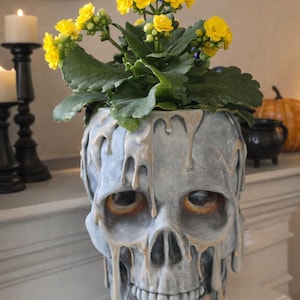 以下が含まれることがあります： 溶けたワックスのデザインが施された灰色の頭蓋骨型のプランターで、鮮やかな黄色の開花植物が植えられています。 頭蓋骨には詳細な特徴と茶色の眼窩があります。 ユニークなハロウィーンまたはゴシック様式の家の装飾アイテム。