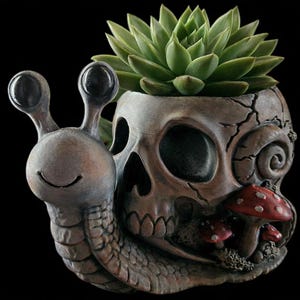 May include: A brown, textured snail-shaped planter featuring a human skull shell with cracks, two small red mushrooms with white spots at the base, and a green succulent plant growing from the top of the skull against a black background.
