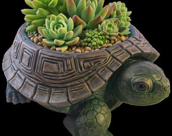 Tortoise Patio Planter