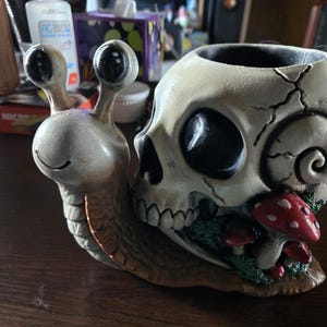 May include: A decorative snail figurine featuring a human skull as its shell. The snail has a beige body with large black eyes and a smiling mouth. The skull shell is off-white with cracks and is decorated with small red mushrooms with white spots.