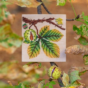 May include: A cross-stitch embroidery of a horse chestnut leaf and conker, in green, yellow, and brown. The embroidery is on a square, beige fabric. The background features blurred leaves and branches.