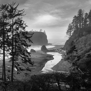 Könnte beinhalten: Schwarz-Weiß-Landschaftsfotografie einer Strandlandschaft. Hohe Bäume rahmen den Vordergrund ein, mit einem Fluss, der ins Meer mündet. Felsige Klippen und ein bewölkter Himmel vervollständigen die Szene.