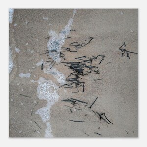 May include: A close-up of a sandy beach with dark, twig-like debris scattered across the surface. White foamy water from the ocean washes over the sand, creating a textured contrast.