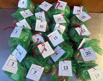 May include: A collection of twenty-four small green plastic bags, each tied with a red string and featuring a white paper tag labeled with a black number from 1 to 24. The bags are arranged in a group, creating a numbered set of items.
