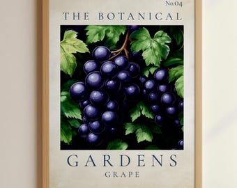 Botanical Gardens Grape Print No.04, Vintage Fruit Wall Art (Digital Download)