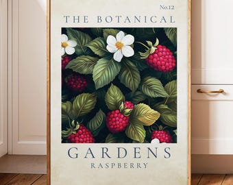 Botanical Raspberry Print No.12, Vintage Fruit Wall Art (Digital Download)