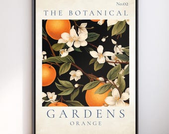 Botanical Gardens Orange Print No.02, Vintage Citrus Wall Art (Digital Download)