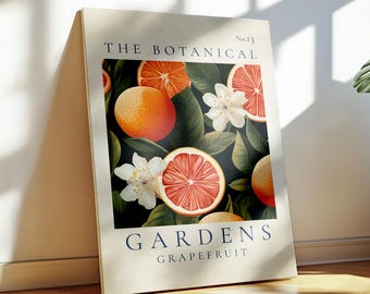 Botanical Grapefruit Print No.13, Citrus Kitchen Wall Art, Botanical Illustration (Digital Download)