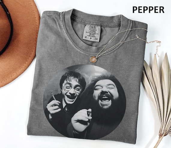 Comfort Colors AI made Wizard Tshirt, Prince Harry Meme DTG Print Shirt