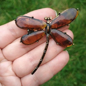 Puede incluir: Broche de libélula con alas color ámbar y cuerpo en tono bronce. Las alas ovaladas tienen un aspecto veteado. El broche tiene pequeños detalles decorativos en la cabeza y en las puntas de las alas.