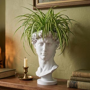 May include: A white bust planter shaped like a classical male head with curly hair, containing a green and white variegated spider plant. The sculpture features a smooth, matte finish and rests on a circular base, serving as a container for the plant.