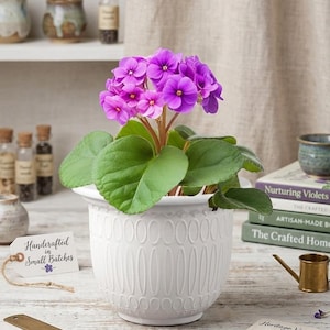 May include: A rustic wooden sign with the text "Welcome to our home" in white lettering. The sign features a distressed finish and a simple, inviting design, perfect for front door decor.