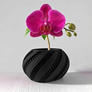 May include: A vibrant magenta orchid blooms from a black, spherical planter. The planter features a repeating, diagonal stripe design. The flower's petals are fully open, showcasing intricate details, with green leaves and buds adding contrast.