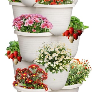 May include: A multi-tiered, white plastic planter filled with various colorful flowers and strawberries. The flowers include red, orange, pink, and white chrysanthemums. The planter has a rolling base for easy movement.