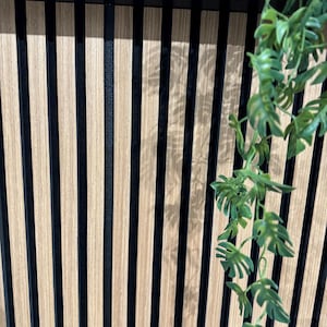 Könnte beinhalten: Vertikale Holzverkleidung mit abwechselnd schwarzen und hellbraunen Holzlatten. Oben befindet sich ein schwarzer Rahmen. Grüne, belaubte Ranken hängen auf der rechten Seite. Die Verkleidung ist eine dekorative Wandverkleidung.