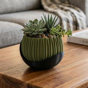 Può includere: Un'arrangiamento decorativo di piante grasse in una fioriera verde scanalata con base nera. La fioriera è su un tavolino di legno. L'arrangiamento comprende varie piante grasse e piccoli ciottoli, creando un'estetica naturale e terrosa.