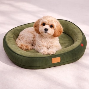 Può includere: Un piccolo cane marrone chiaro riposa in una cuccia verde a coste. Il letto ovale ha un bordo rialzato e una piccola etichetta rettangolare sul davanti. Un'etichetta rossa è sul lato.