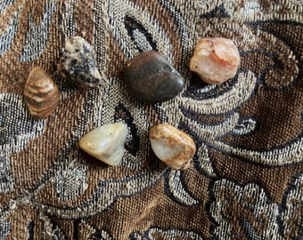 Pack of  6 Rock Pins