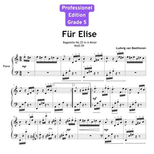 Könnte beinhalten: Notenblatt für "Für Elise" von Ludwig van Beethoven, geschrieben für Klavier. Die Noten enthalten musikalische Bezeichnungen wie "mp", "mf", "dim" und "pp". Der Titel ist groß geschrieben, mit "Professionel Edition Grade 5" darüber.
