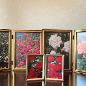May include: A set of five gold-framed folding picture frames. The frames display images of various roses in shades of white, pink, and red. The frames are arranged on a dark brown surface.