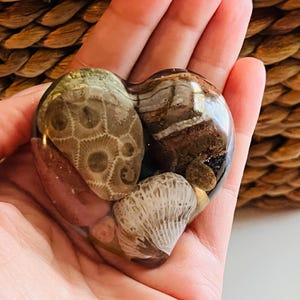 May include: A heart-shaped object crafted from clear resin, embedding various natural elements including a tan fossilized coral piece with a distinct honeycomb pattern, a smooth brown stone, and a textured white seashell fragment.