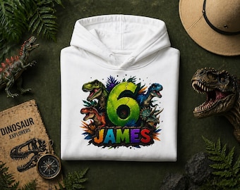 Personalized Dinosaur Birthday Hoodies, Custom Age Birthday, 6th Birthday Sweatshirt, Dinosaur Birthday Party, Dinosaur Hoodies, Party Tee