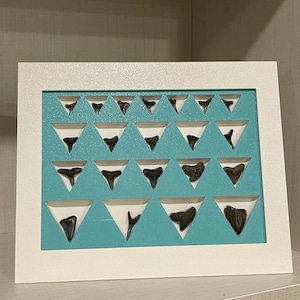 Shark Teeth Display Case – Fossil Organizer Frame with Stand - 3D Printed
