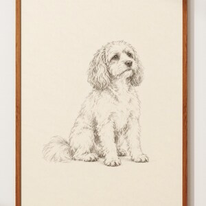 Cavapoo Print | Pencil Sketch Poster | Minimalist Dog Wall Art | Cavoodle Drawing