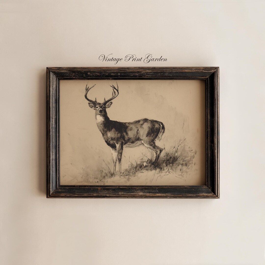 Vintage Deer Stag Wall Art Rustic Woodland Animal Illustration ...