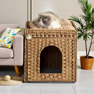 Hidden Cat Litter Box Enclosure Furniture – Handwoven Rattan Cat House Cabinet with Mat, Fence Top & Hooks, Litter Box Cover End Table