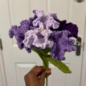 Crochet Iris Flower