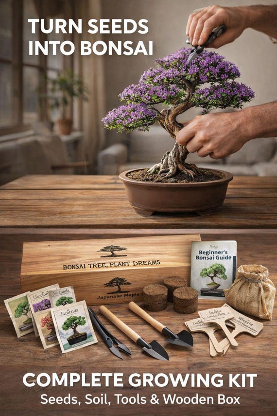 Bonsai Tree Starter Kit Wooden Box Seeds Tools Jute Bags Plant