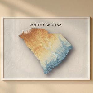 May include: Framed art print of South Carolina. The map is rendered in shades of orange, brown, and blue, with the state's name printed in black at the top. The artwork is set against a neutral background and framed in white.