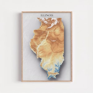 Puede incluir: Impresión enmarcada del estado de Illinois, con un mapa topográfico 3D en tonos marrones, beige y azules. La palabra "ILLINOIS" está impresa en negro en la parte superior. La obra de arte está sobre un fondo gris claro, con marco de madera.