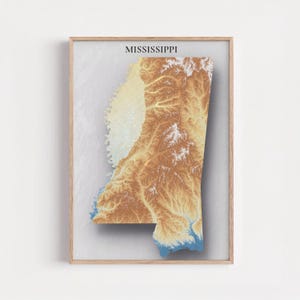 May include: A framed print of the state of Mississippi, featuring a topographic map in shades of brown, tan, and blue. The word "MISSISSIPPI" is printed at the top. The map is set against a light gray background.