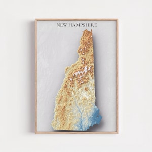 May include: Framed art print of New Hampshire, featuring a 3D topographic map in shades of brown, tan, and blue. The state's name is printed in black at the top. The artwork is set against a light gray background.
