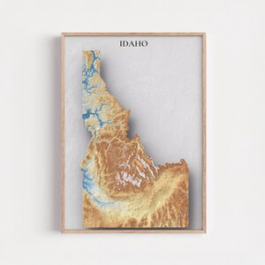 May include: A framed print featuring a 3D topographic map of Idaho. The map showcases the state's terrain with varying shades of brown, tan, and blue, with the word "IDAHO" printed at the top. The artwork is set against a light gray background.