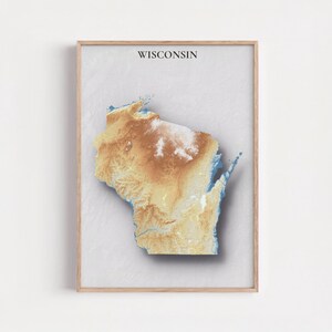 May include: A framed print featuring a topographical map of Wisconsin. The map is rendered in shades of brown, tan, and blue, with the word "WISCONSIN" printed at the top. The artwork is set against a light gray background.